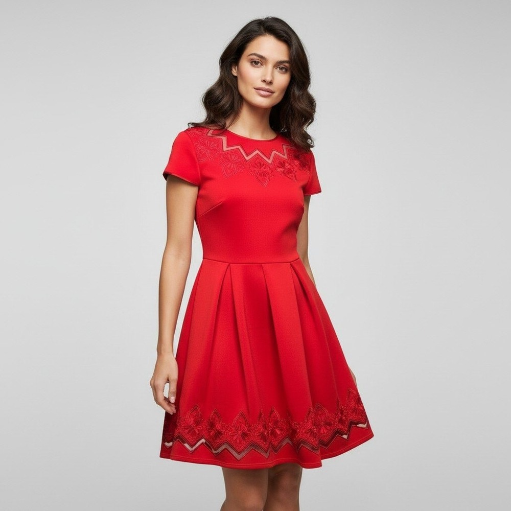 Ted Baker London Cheskka Red Lace Mesh Skater Dress Size 4 WH8W/GD11